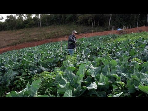 Cultivando Inovação - Ponte Nova