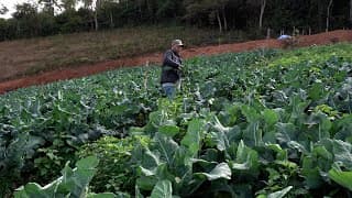 Cultivando Inovação - Ponte Nova